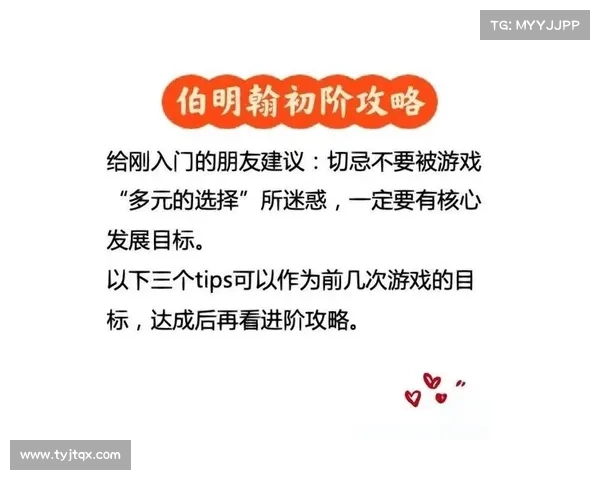 新手与老玩家职业选择全攻略技巧大揭秘助你快速上手与提升