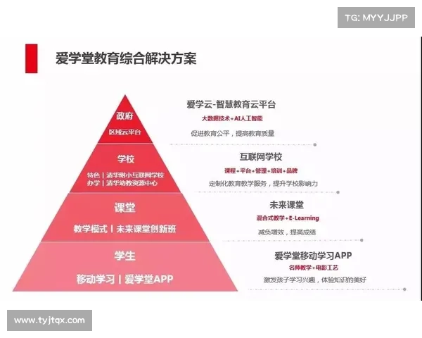 DK宏技术优化策略的十个核心要素及实践指南解析 DK宏技术优化策略的十个核心要素及实践指南解析