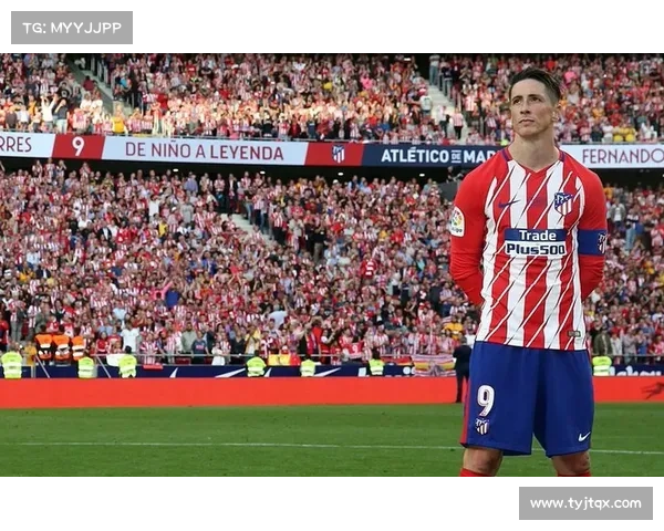 从金童到传奇象征深度解析托雷斯绰号背后的文化意义